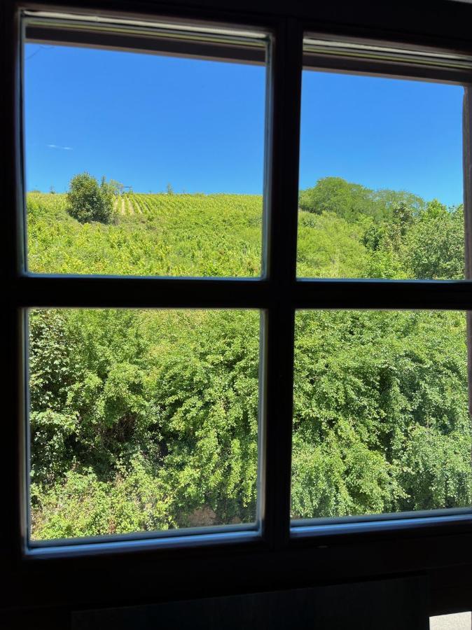 Domaine La Cour Des Nobles - Demeure, Maison Et Appartements Au Coeur De Riquewihr Eksteriør bilde