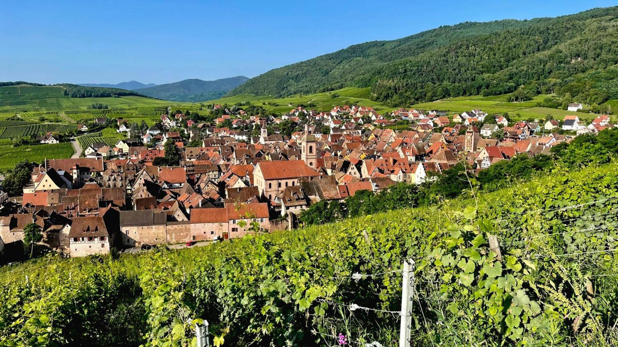 Domaine La Cour Des Nobles - Demeure, Maison Et Appartements Au Coeur De Riquewihr Eksteriør bilde