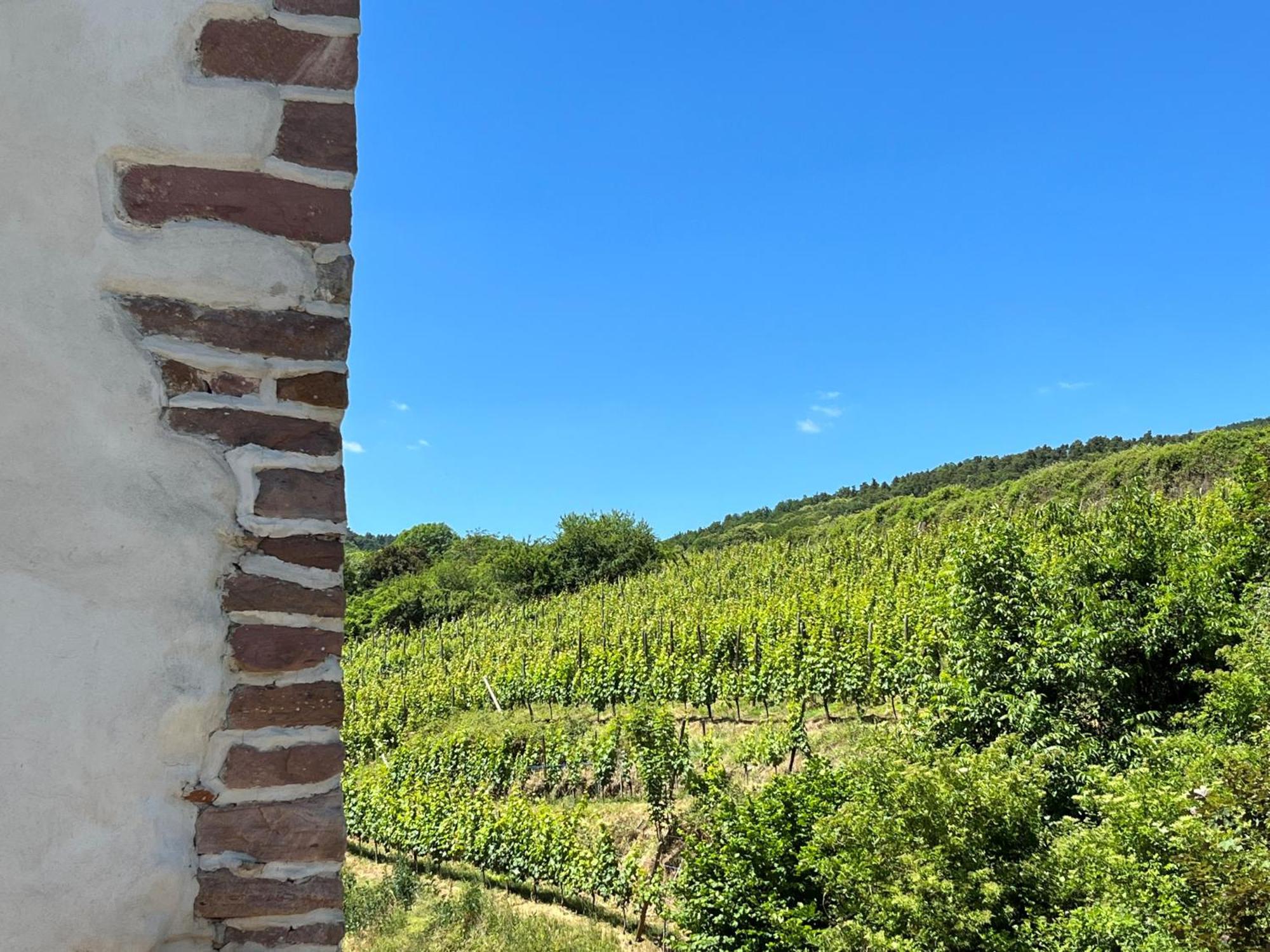 Domaine La Cour Des Nobles - Demeure, Maison Et Appartements Au Coeur De Riquewihr Eksteriør bilde